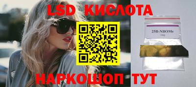 spice Камышлов