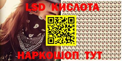spice Камышлов