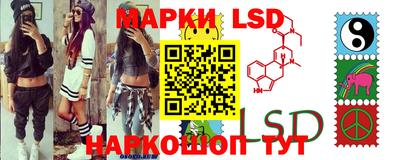 spice Камышлов