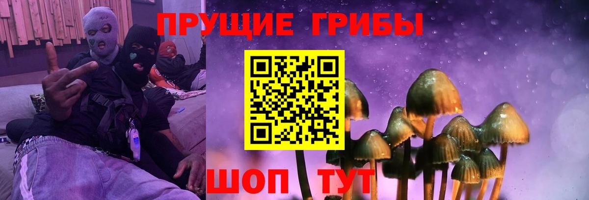 Галлюциногенные грибы Psilocybe  Псилоцибиновые грибы GOLDEN TEACHER  Вход с VPN  Курчатов 
